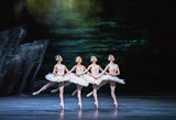 Royal Ballet Opera Swan Lake 2025 Vue Cinema Times Book Tickets Vue Royal Ballet Opera Swan Lake 2025 Vue Cinema Times Book Tickets Vue