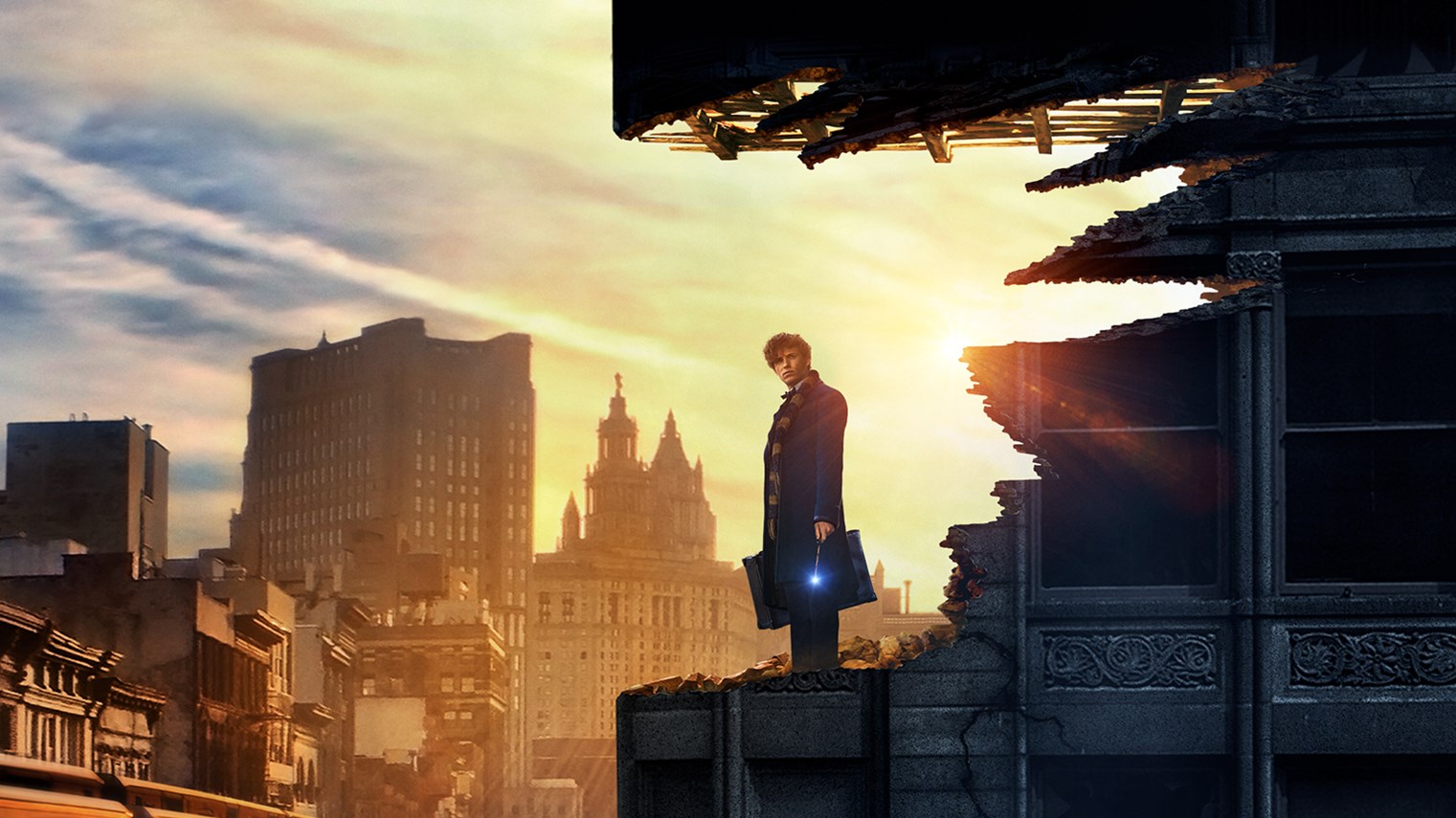 Image result for fantastic beasts