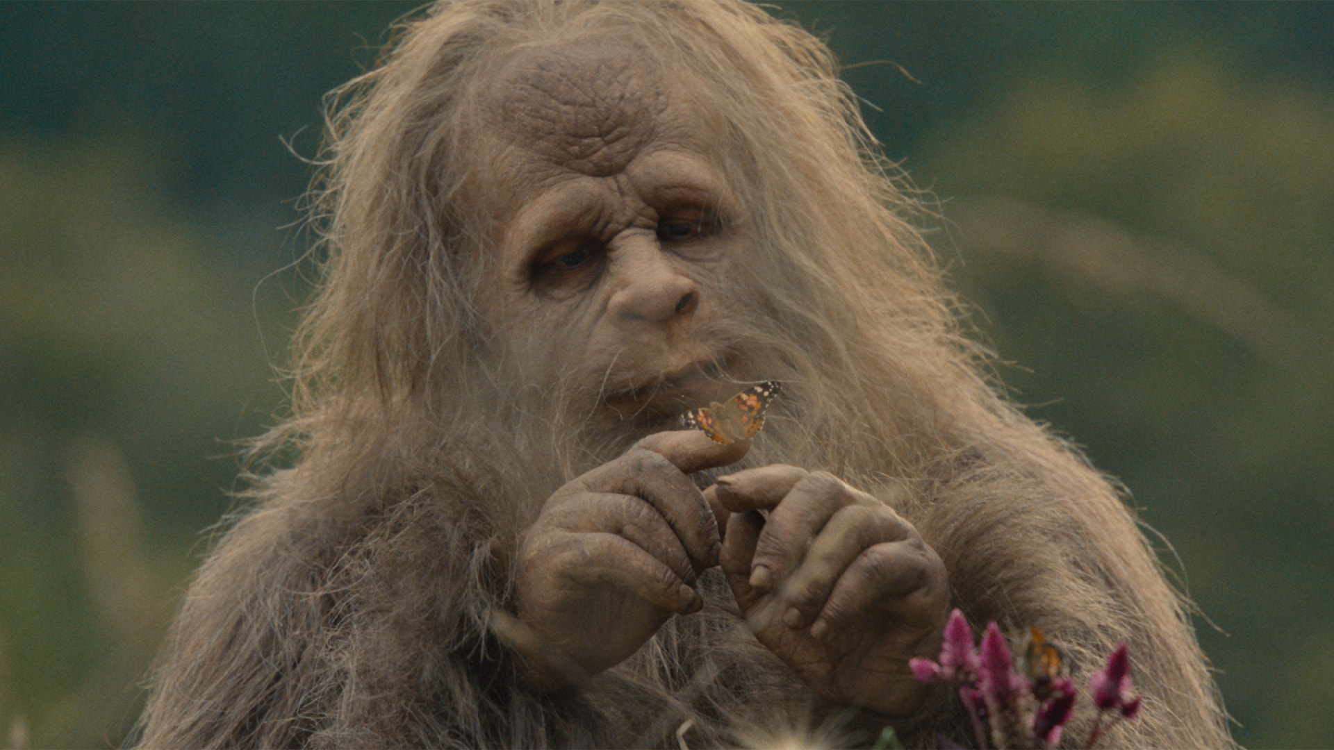 Sasquatch Sunset