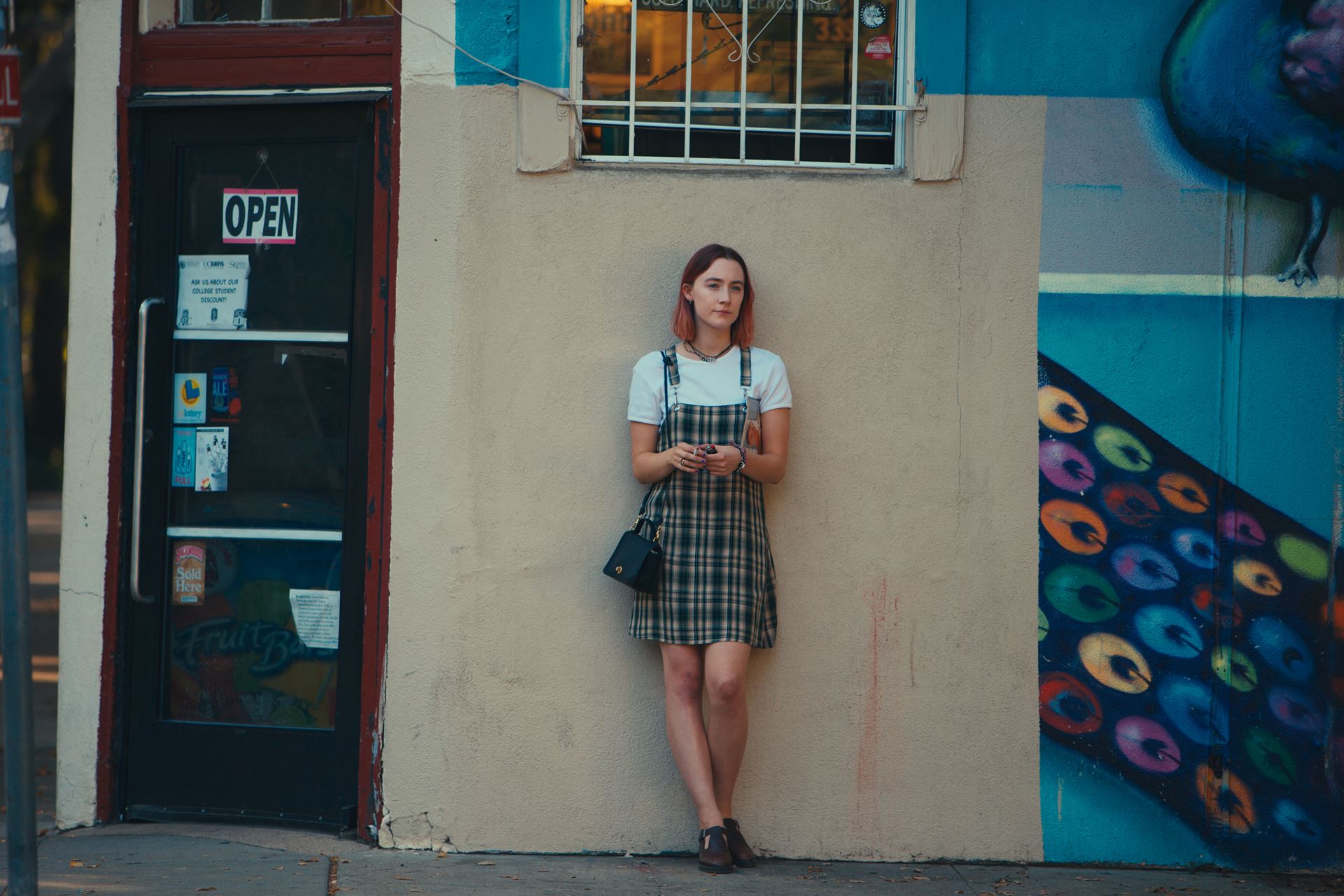 Lady Bird (RE:2017) 