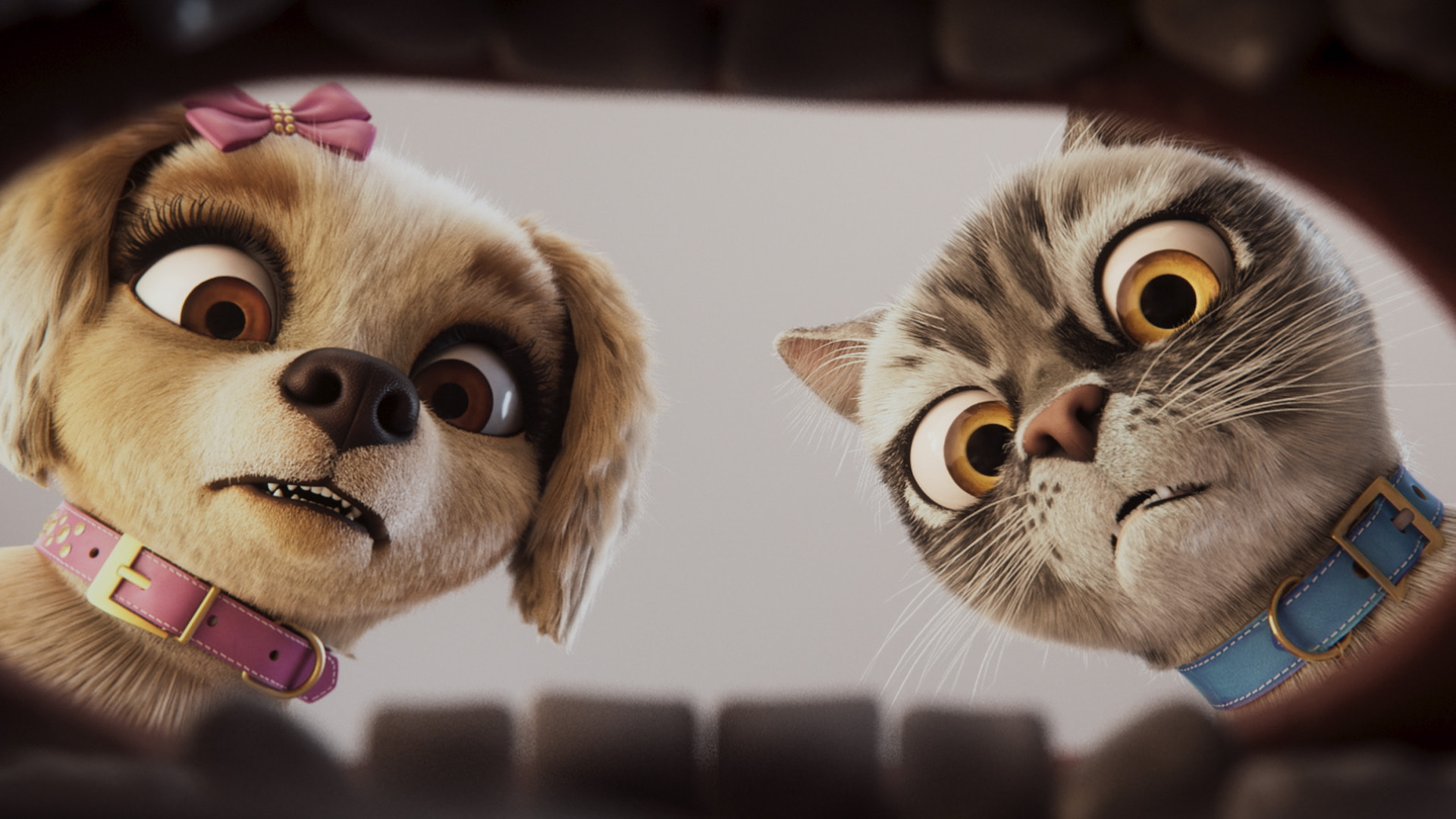 Gracie and Pedro: Mission Impossible