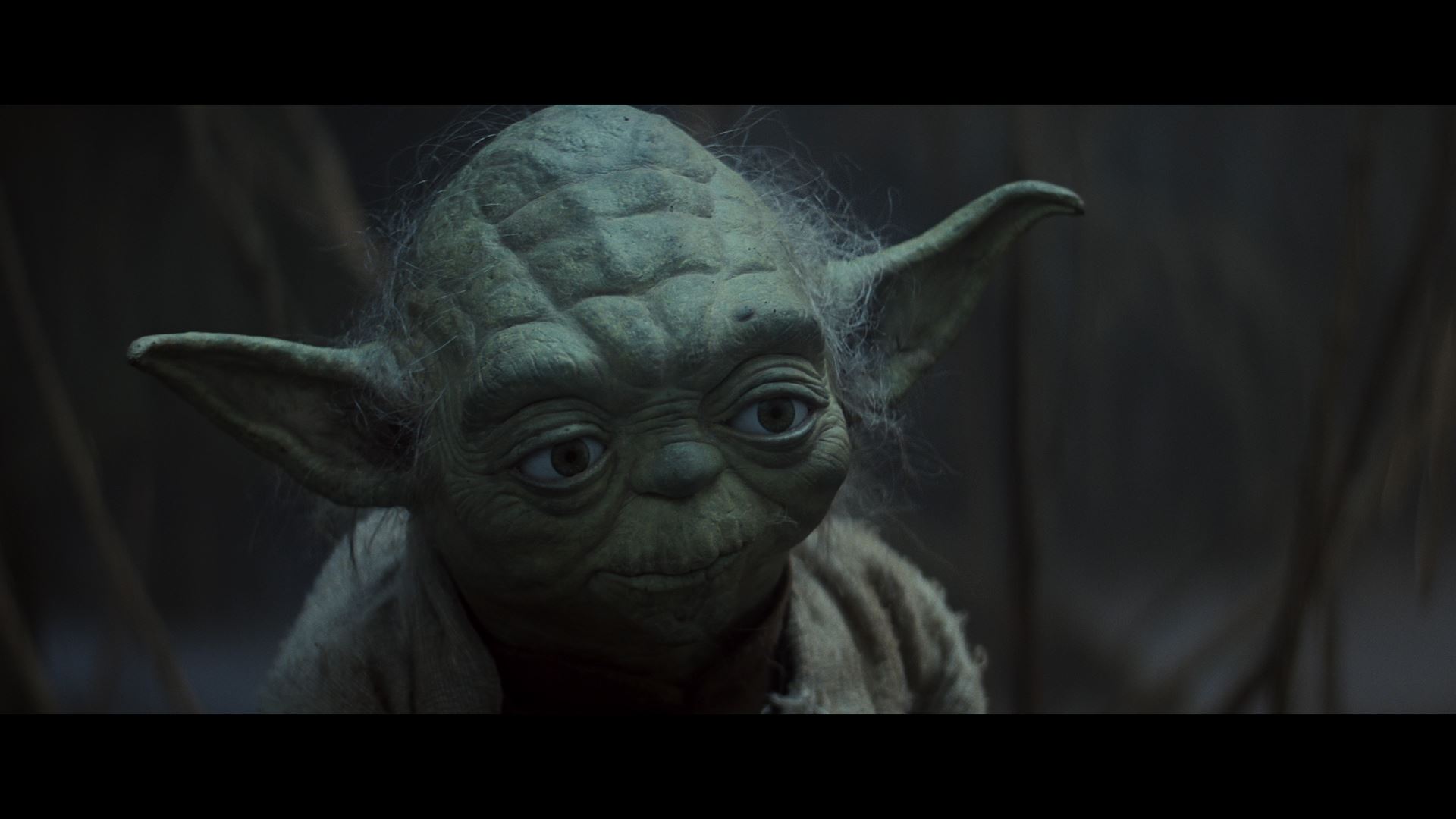 Star Wars: Episode V - The Empire Strikes Back (1980)