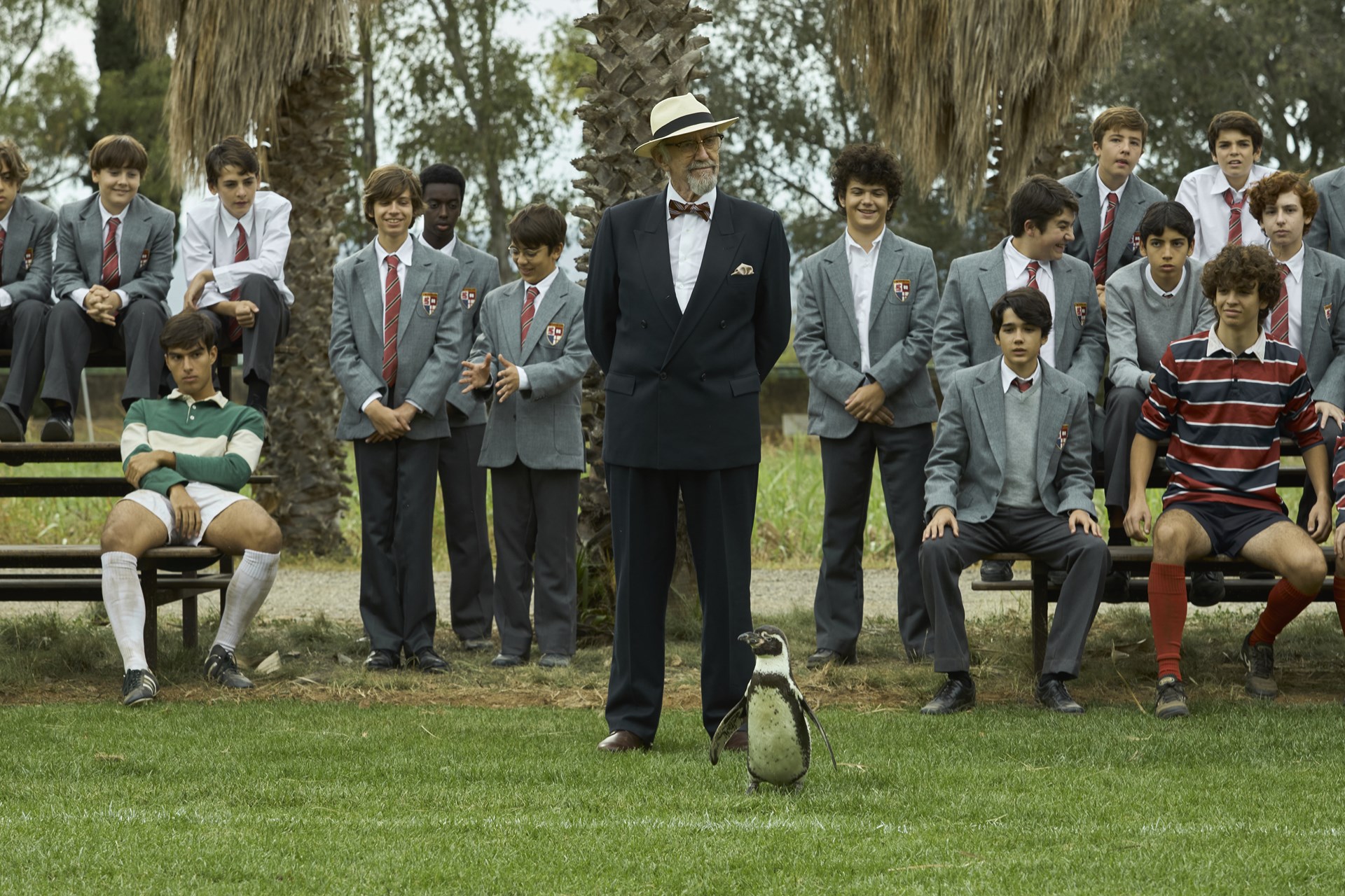 The Penguin Lessons