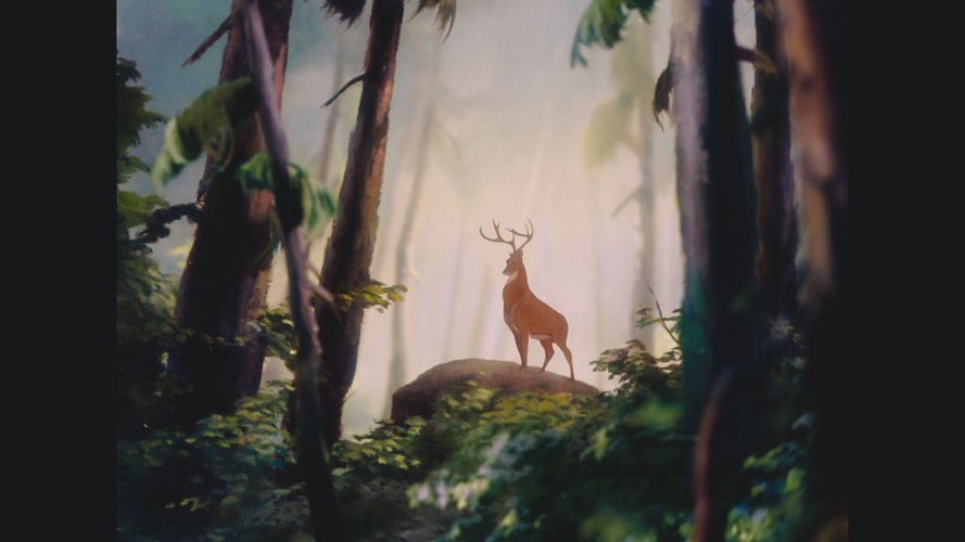 Bambi (D100)
